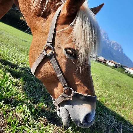 La Casetta Di Biancaneve Valtellina E Di Prázdninový dům